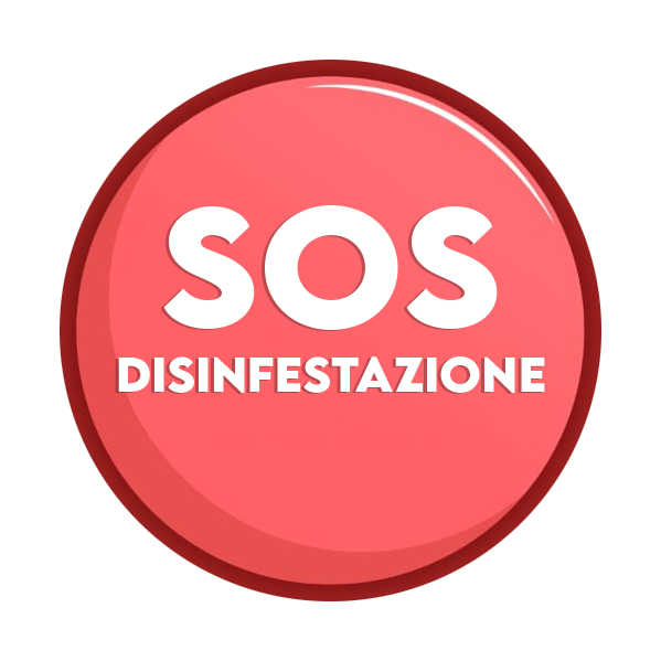 Panic button disinfestazione torino